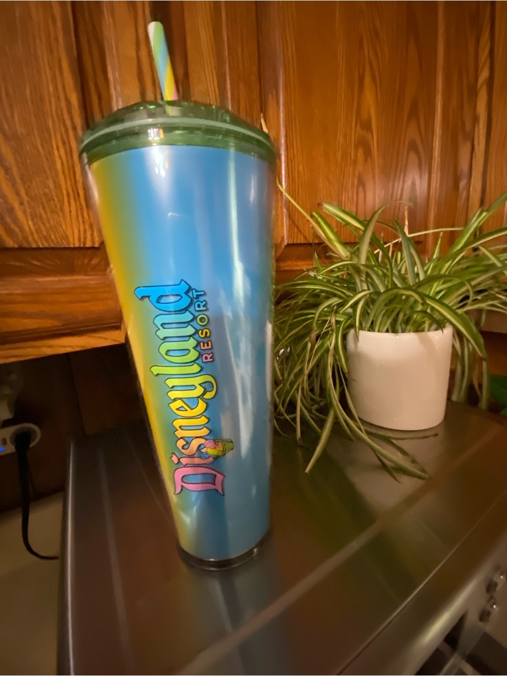 DISNEYLAND RESORT/ STARBUCKS MULTI COLOR TUMBLER WITH STRAW